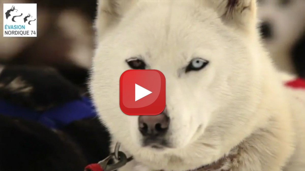 Découvrez Evasion Nordique dans l’émission Itinéraires Bis