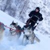 Chiens de Traineau en Haute-Savoie avec Évasion Nordique